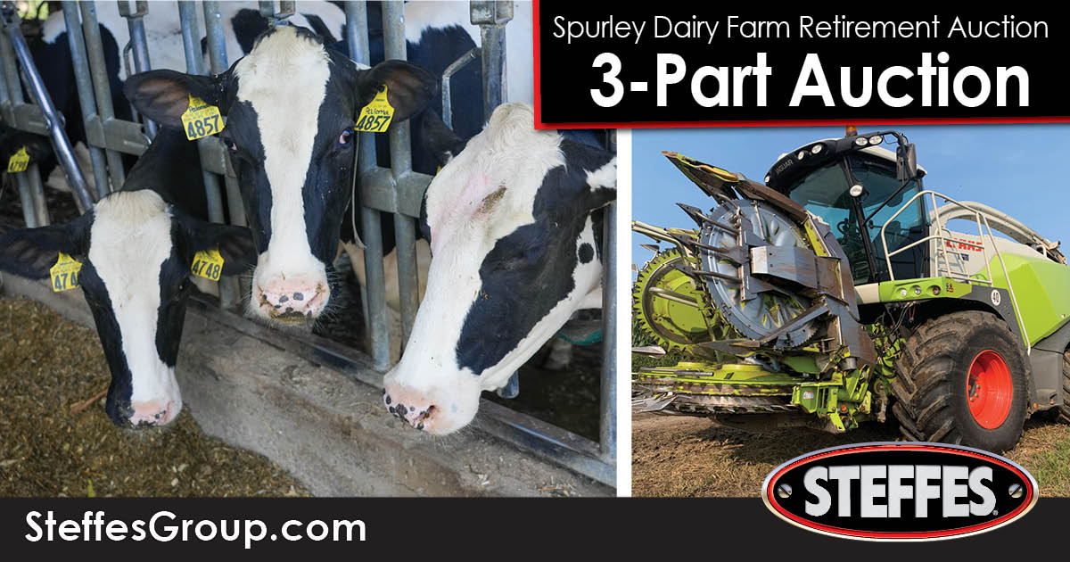 Spurley Dairy Farm Retirement 
