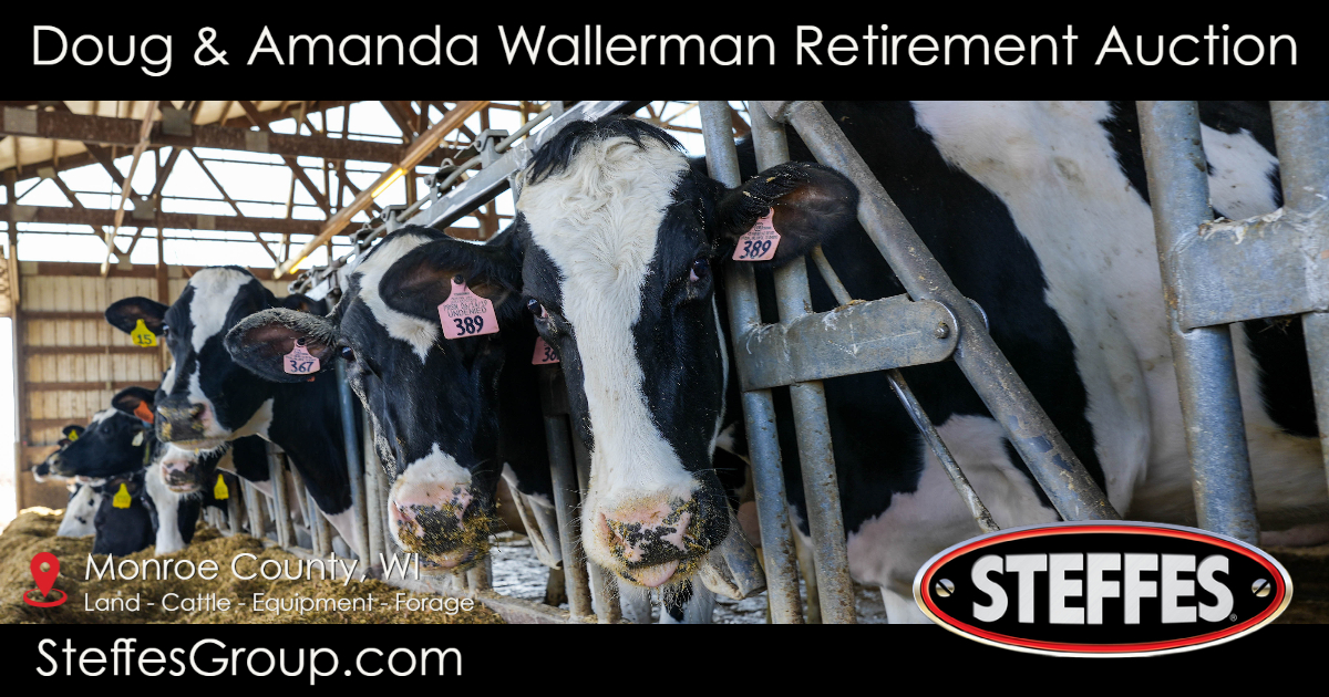 Doug and Amanda Wallerman Retirement Cattle Auction